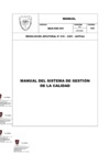 Vista preliminar de documento RJ 19 - ANEXO MANUAL SGC.pdf