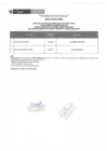Vista preliminar de documento Resultado Final