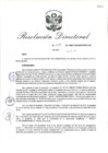 Vista preliminar de documento RD_2017_475_COPESCO