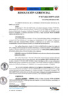 Vista preliminar de documento Resolución Gerencial N° 017 - Aprobación del Plan de Trabajo - Plan Academia Virtual Municipal 2021