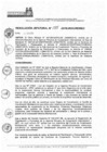 Vista preliminar de documento RJ-135-2015-JNAC-RENIEC