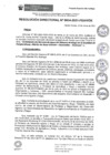 Vista preliminar de documento rd034_2021.pdf