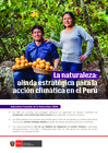 Vista preliminar de documento Díptico SbN 