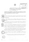 Vista preliminar de documento om028-00