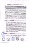 Vista preliminar de documento Convenio Específico n.°308-2016- Universidad Nacional de San Agustín.pdf