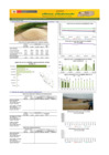Vista preliminar de documento Boletín de abastecimiento y precios de AVES - 31/03/21