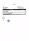 Vista preliminar de documento Anexo Nº 1