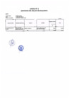 Vista preliminar de documento Anexo Nº2