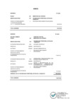 Vista preliminar de documento ANEXO RM 0217 INCORPORACION SALDO BALANCE HUANCAYO.pdf
