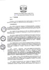 Vista preliminar de documento R.D-N°-459-2019