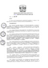 Vista preliminar de documento R.D-N°-462-2019