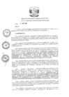 Vista preliminar de documento R.D-N°-493-2019