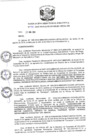 Vista preliminar de documento R.D N 794-2019 