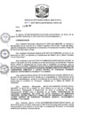 Vista preliminar de documento R.D-N°-838-2019