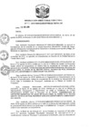 Vista preliminar de documento R.D-N°-953-2019