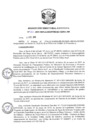 Vista preliminar de documento R.D N 1263-2019