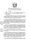 Vista preliminar de documento R.D N 1357-2019