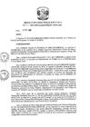 Vista preliminar de documento R.D N 1411-2019