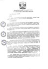 Vista preliminar de documento R.D N 1105-2019