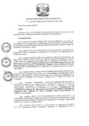 Vista preliminar de documento R.D N 1110-2019