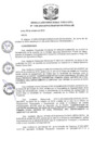 Vista preliminar de documento R.D N 1118-2019