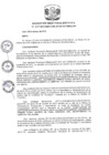 Vista preliminar de documento R.D N 1117-2019