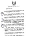 Vista preliminar de documento R.D N 1129-2019