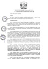 Vista preliminar de documento R.D N 1136-2019