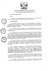 Vista preliminar de documento R.D N 1141-2019