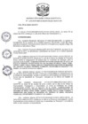 Vista preliminar de documento R.D N 1154-2019