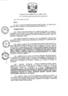 Vista preliminar de documento R.D N 1173-2019