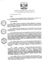 Vista preliminar de documento R.D N 1174-2019
