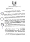 Vista preliminar de documento R.D N 1177-2019