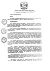 Vista preliminar de documento R.D N 1185-2019