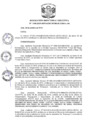 Vista preliminar de documento R.D N 1190-2019