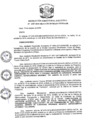 Vista preliminar de documento R.D N 1207-2019