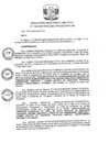 Vista preliminar de documento R.D N 1226-2019