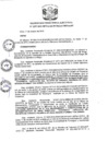 Vista preliminar de documento R.D N 1257-2019