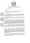 Vista preliminar de documento R.D N 1262-2019