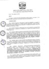 Vista preliminar de documento R.D N 1272-2019