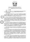 Vista preliminar de documento R.D N 036-2020
