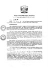 Vista preliminar de documento R.D N 042-2020