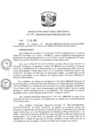 Vista preliminar de documento R.D N 048-2020
