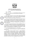 Vista preliminar de documento R.D N 052-2020