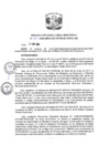 Vista preliminar de documento R.D N 060-2020