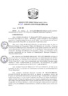 Vista preliminar de documento R.D N 068-2020 