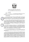 Vista preliminar de documento R.D N 393-2020