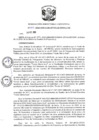 Vista preliminar de documento R.D N 395-2020