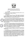 Vista preliminar de documento R.D N 394-2020