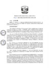 Vista preliminar de documento R.D N 464-2020